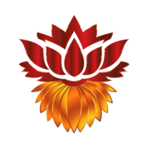 0786E2AE 7317 49FD 9BCE 379AFDAEE50E e1671632122533 300x300 1